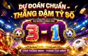 njcardsharks Thể Thao